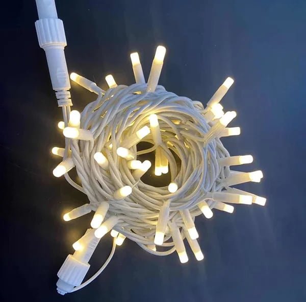 String & Neon Lights