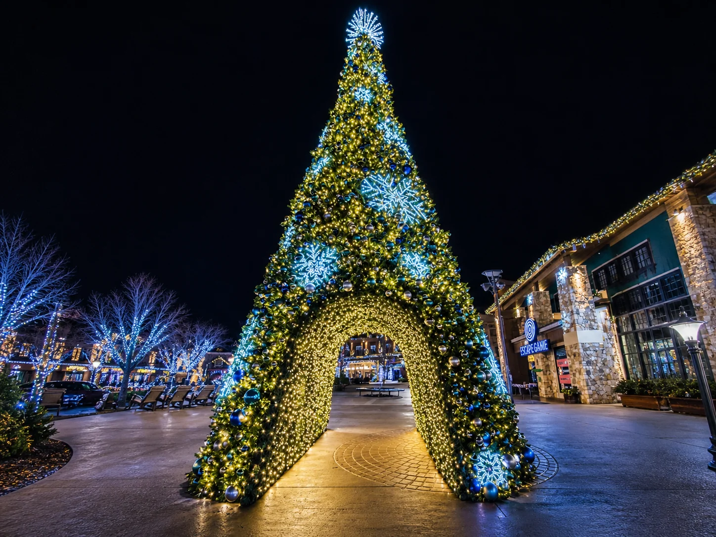 Mega tree in a public square